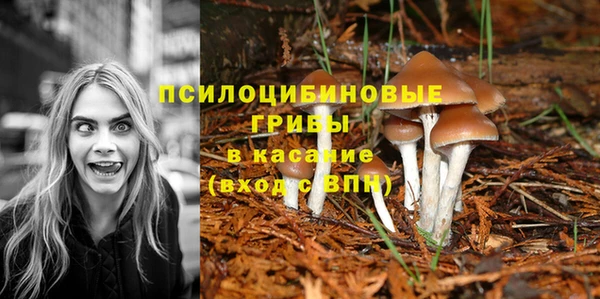 кокаин перу Аркадак