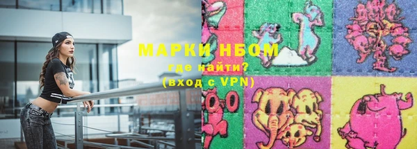 PSILOCYBIN Болотное