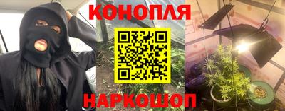 Альфа ПВП Малгобек