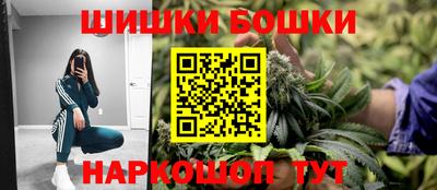 крисы Будённовск