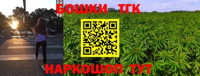 Альфа ПВП Малгобек