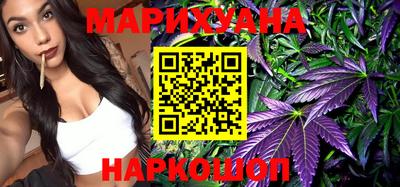 крисы Будённовск