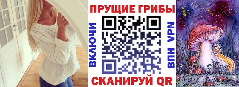 магазин  наркотиков  Курганинск  сайты даркнета телеграм  Галлюциногенные грибы мицелий 