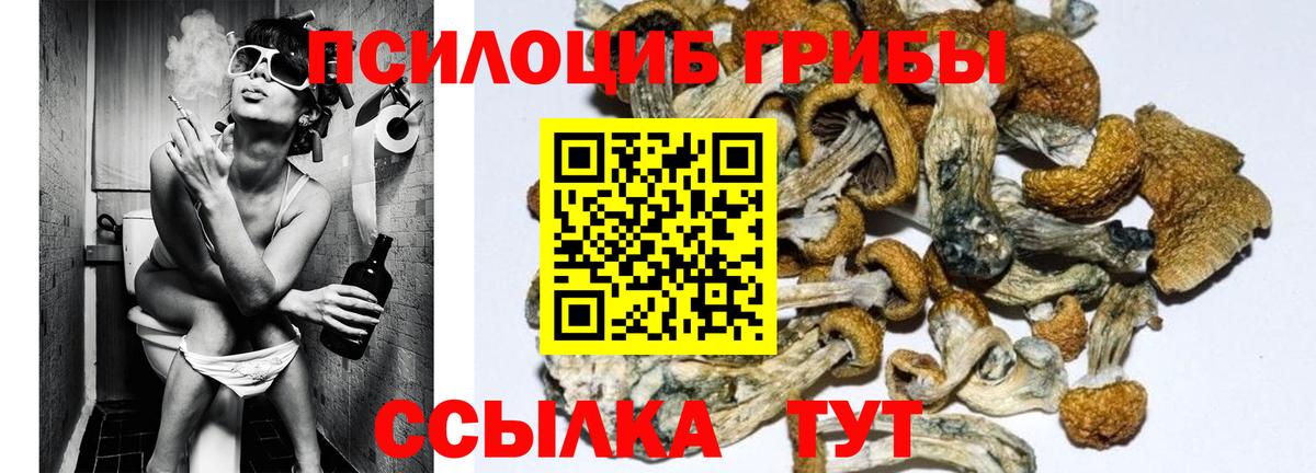 Псилоцибиновые грибы мухоморы Курганинск