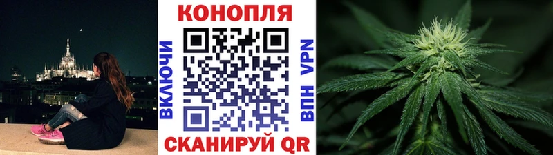Марихуана SATIVA & INDICA  блэк спрут зеркало  Курганинск  дарнет шоп 